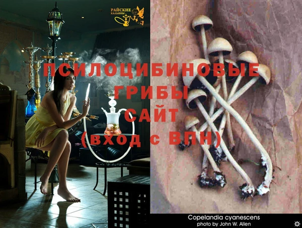 MDMA Premium VHQ Верея