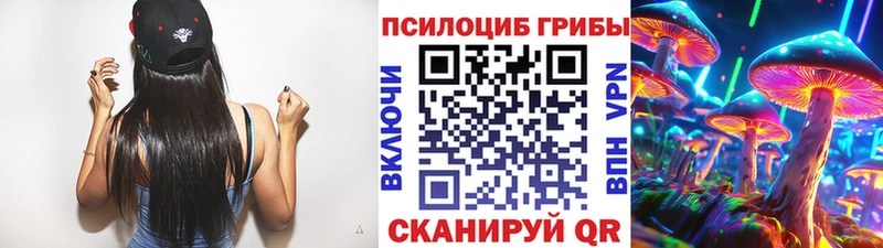 Псилоцибиновые грибы ЛСД  Купить где  Губкин 