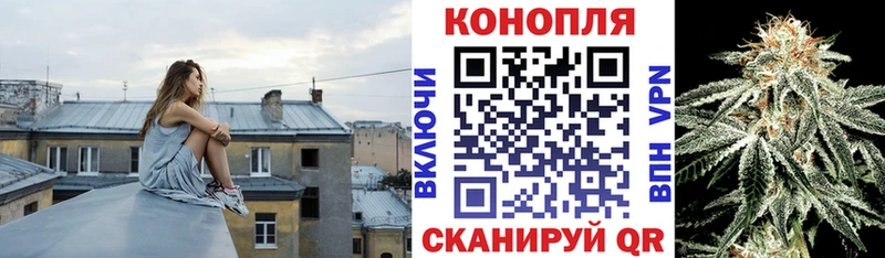 Купить  Губкин  Канабис MAZAR 
